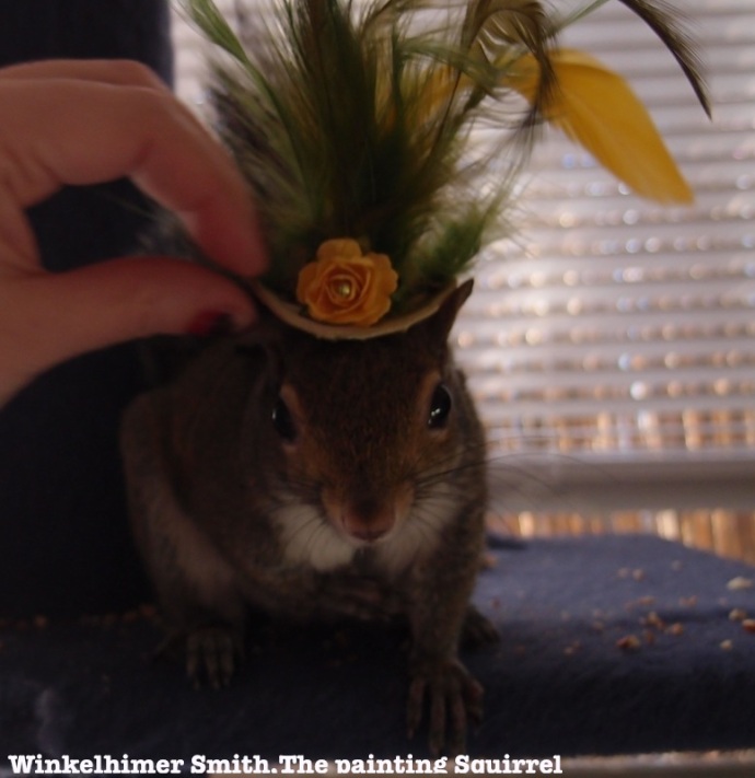 Winkelhimer the squirrel in a hat